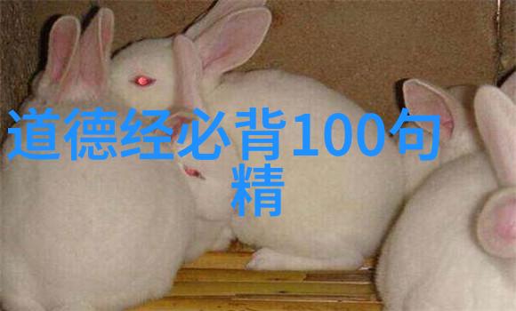专题 民间文学学科建设笔谈