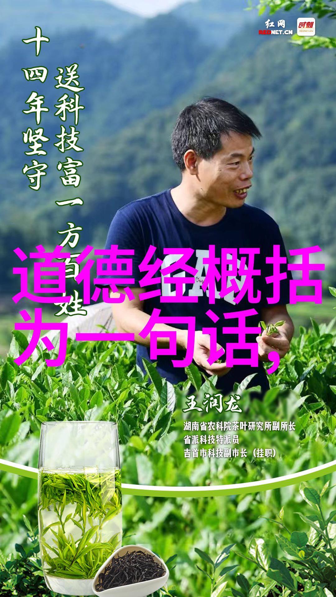 丁酉年春节值殿玄门悟道题咏自嘲续二