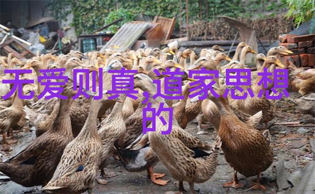 何新旧论论中国传统宗教及学术之演变